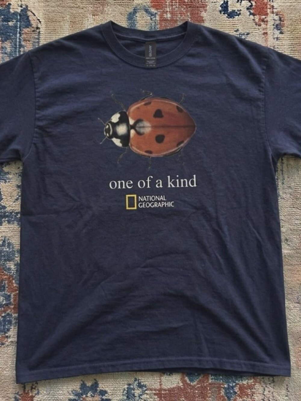 Navy National Geographic Ladybug One of a Kind T-Shirt